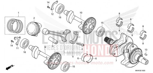 ALBERO MOTORE/PISTONE NC750XDM di 2021